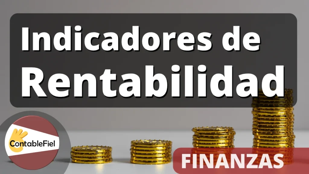 Indicadores de rentabilidad ejercicio de ejemplo en Excel