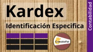 Kardex método de identificación especifica ejemplo en Excel
