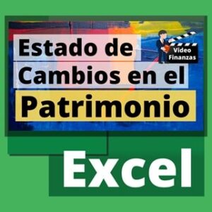 Estado de Cambios en el Patrimonio. Archivo de Excel