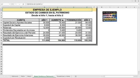 Estado de Cambios en el Patrimonio. Archivo de Excel - Imagen 2